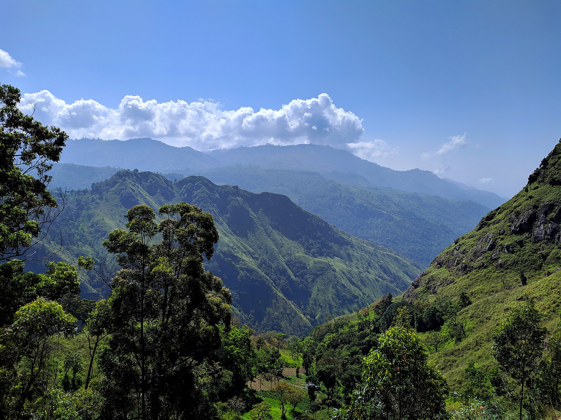 A sweeping green valley of hills and forest stretching into the distance at Ella