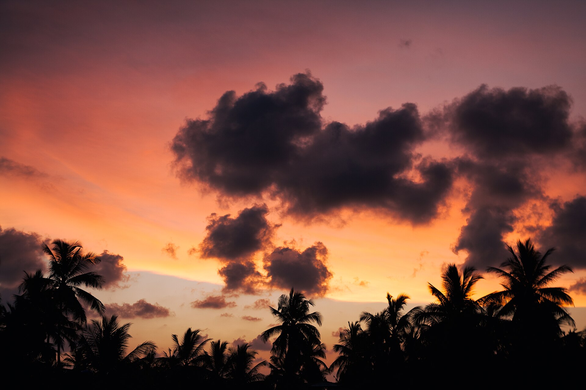 A Sri Lankan beach at golden hour