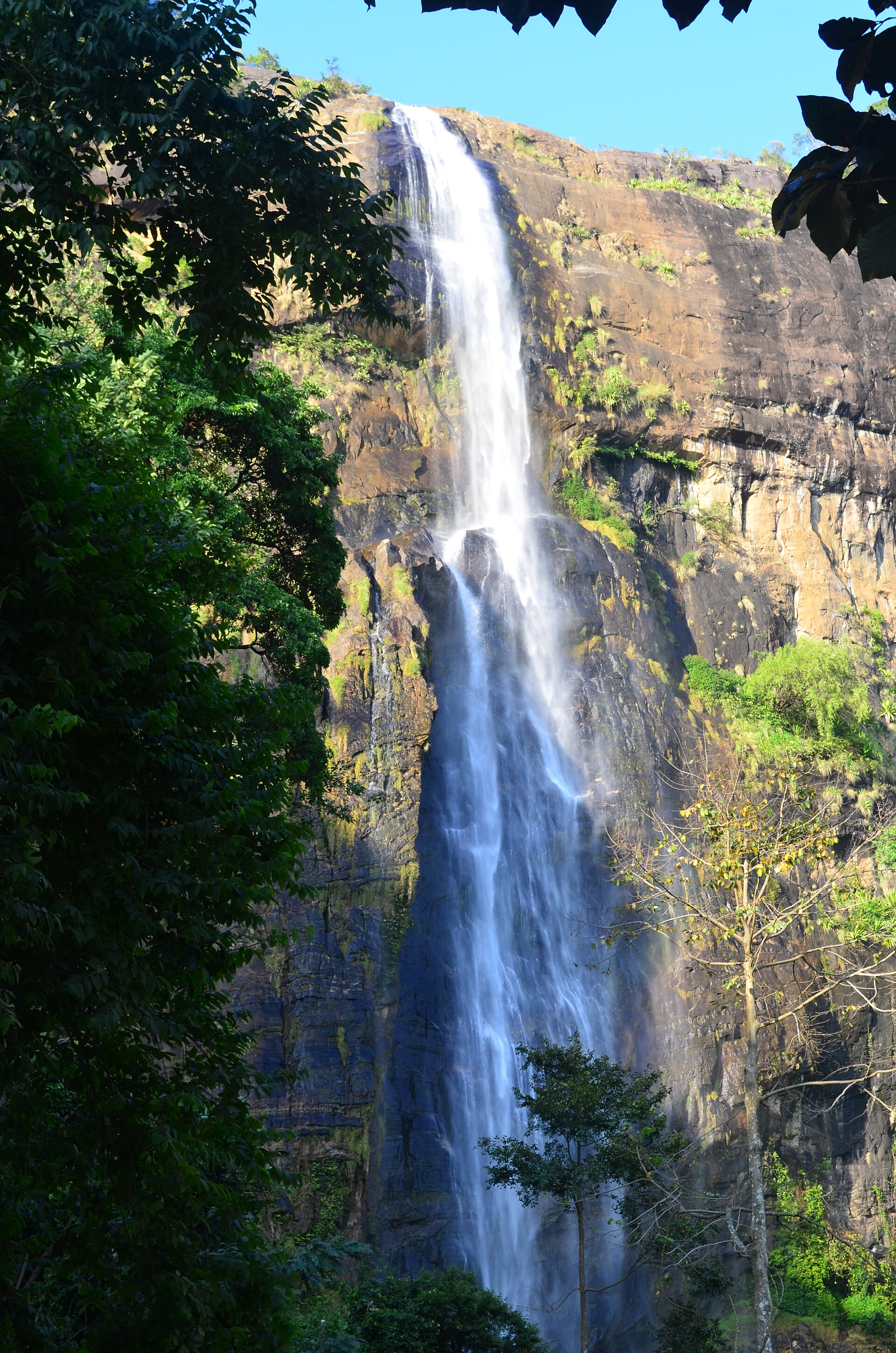 Diyaluma Falls tumbling down a cliff in the hill country